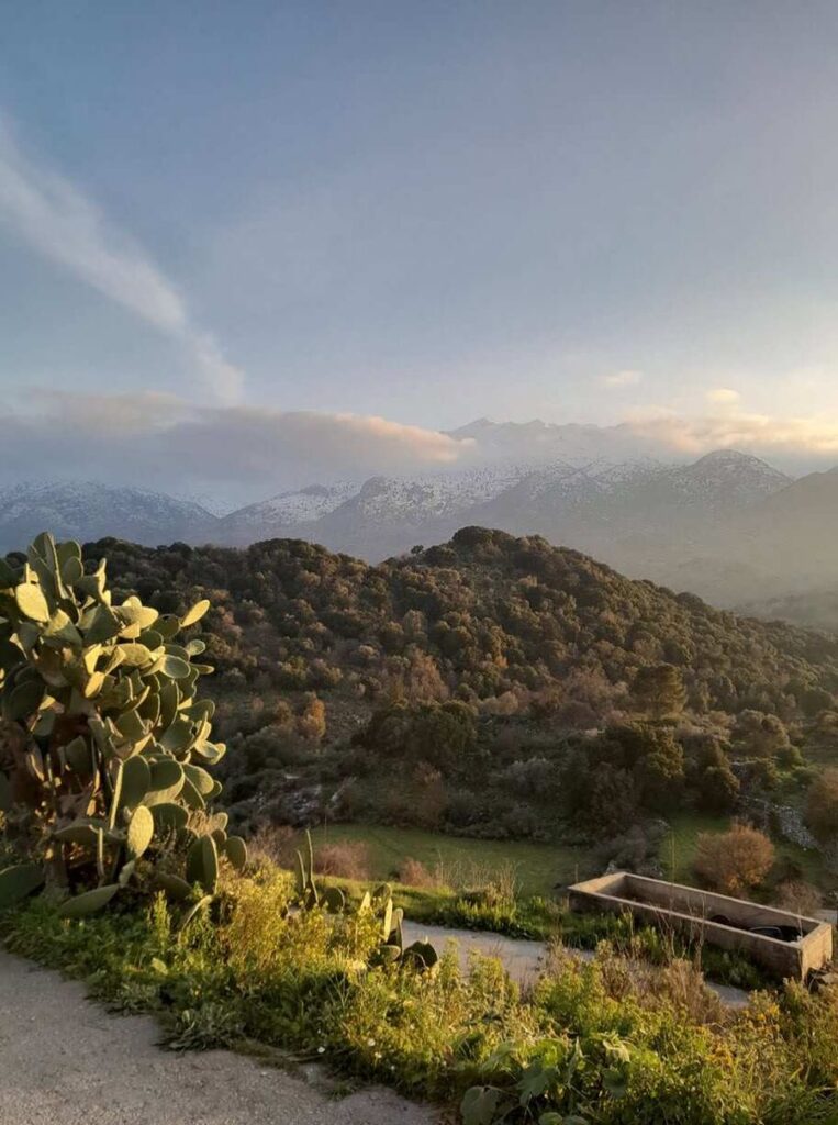 N4QG664A_PCxQg4OO_Chania Food Tour (9) (1).jpg